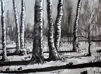 Inkwash of trees